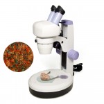 Микроскопы для геммологов