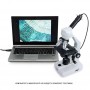 Цифровая камера для микроскопов Celestron HD 5 Мп