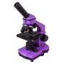 Микроскоп Levenhuk Rainbow 2L PLUS Amethyst (Аметист)